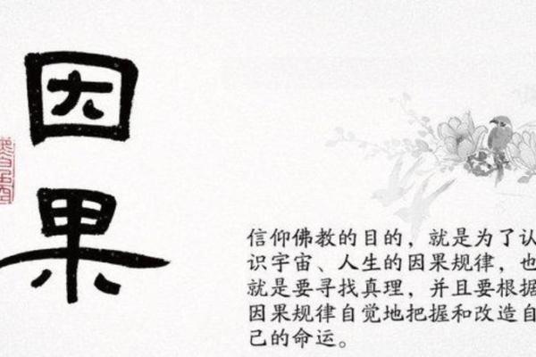 揭秘真实算命先生的特征与选择技巧，助你找到命运的引路人