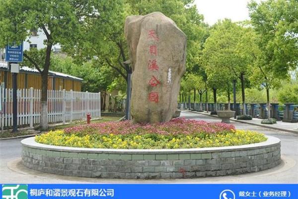 石榴木命与理想鱼种：打造和谐家居水景