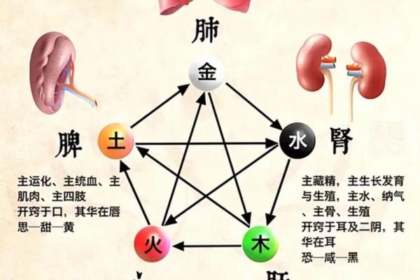 女人五行缺水火旺，命理解析与调和之道