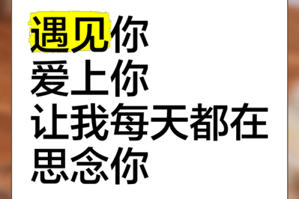 拼了命的想念你：一段关于爱与思念的旅程