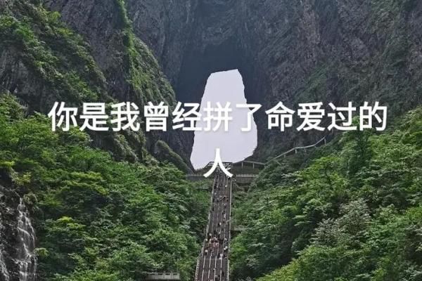 拼了命的想念你：一段关于爱与思念的旅程