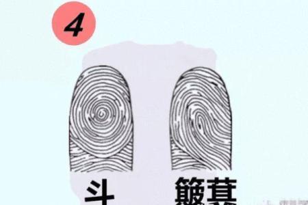 手上没斗是什么命？探寻女性命运的秘密与转机