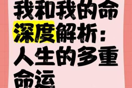 究竟什么命才算是人生的最佳命运？深度探讨人生命的意义与价值