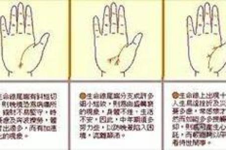 解读手相三条线：掌握命运的秘密，打造辉煌人生