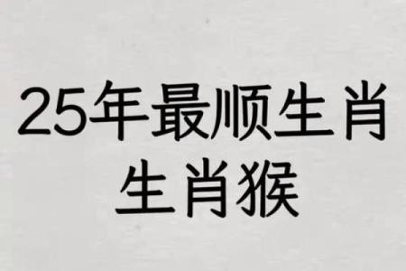 属猴石榴木命的最佳车号选择，开车也要旺运！
