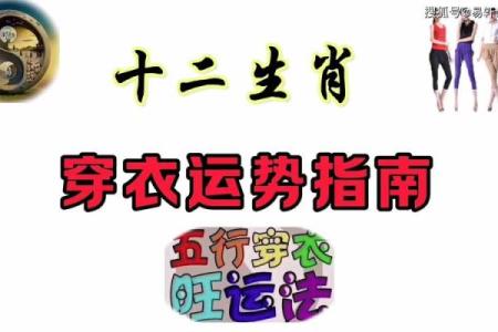 十二生肖男士的命理解析：揭示你的天生特质与性格特点