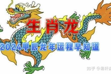 属龙的命运解析：探索龙年出生者的命理之道