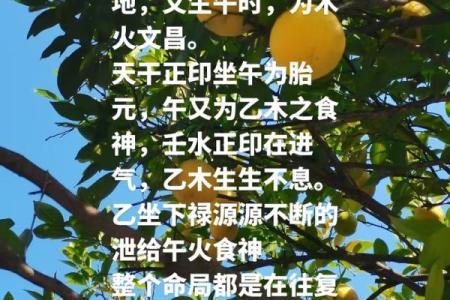 木命火命：为孩子选择合适的命理，助他茁壮成长！