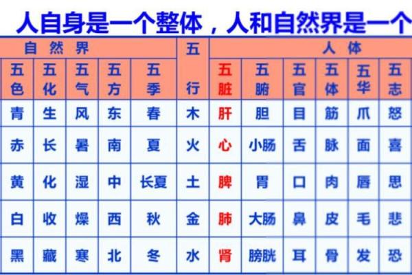 如何根据五行理论查找你的命运和运势? 如何根据五行理论查找你的命运和运势?