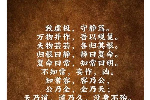 世间最有智慧的命，究竟是什么命？探寻生命的真谛与智慧的源泉！