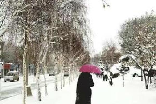 生于冬天的人，命运之路的神秘与智慧