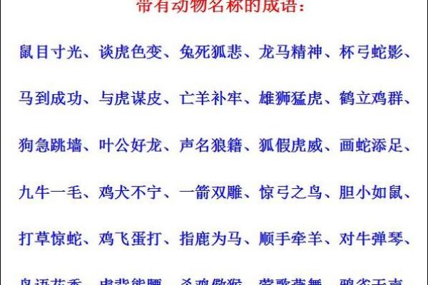 成语接龙：从“画龙点睛”到“心心相印”的奇妙旅程