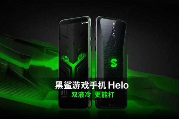 神秘女特工的救赎：我如何逃离险境，重获新生