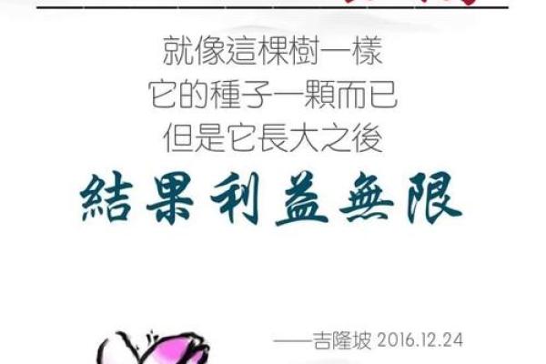 命旺壁上土命的生活智慧与幸福之道