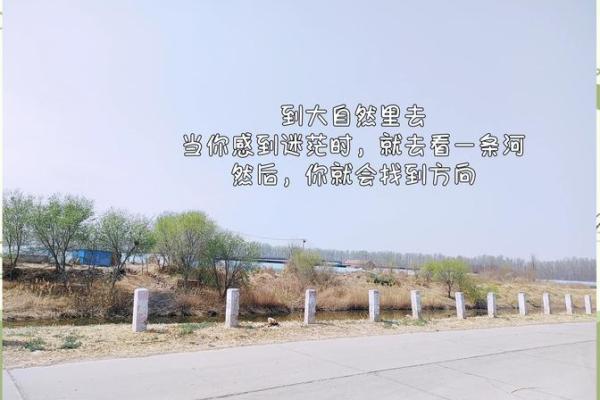 桑柘木命的命理解析：如木生荣，如何养成心灵的丰盈？