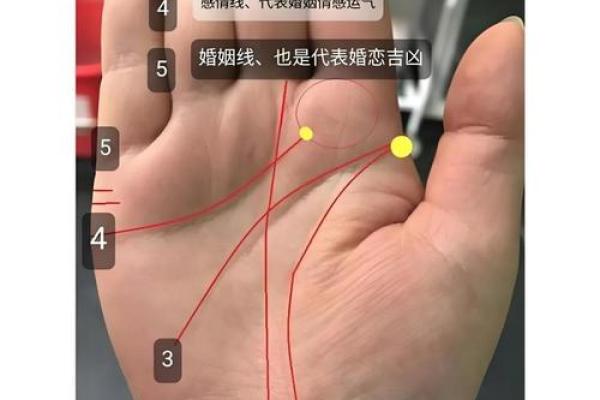 揭开手相之谜:女命中官印的深层含义与影响 揭开手相之谜:女命中官印的深层含义与影响