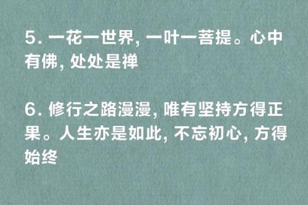 逆天改命：从悟道中寻找生命的真谛与希望