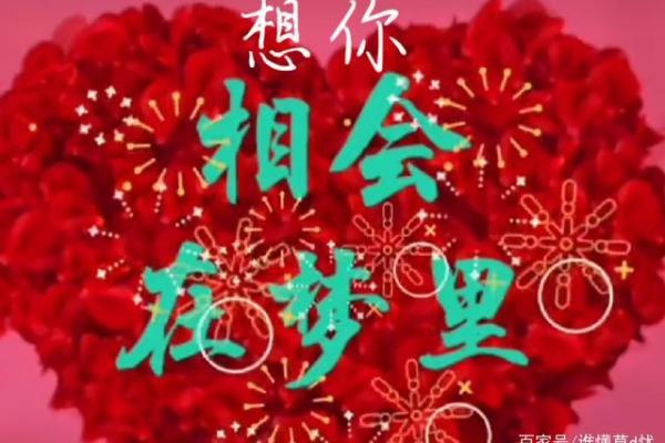 拼了命想念你：爱的绝唱与心灵共鸣