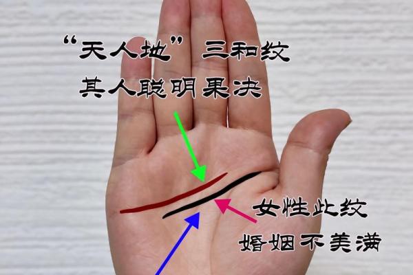 男人手相解析:掌纹烦乱的命运影响与解读 男人手相解析:掌纹烦乱的命运影响与解读
