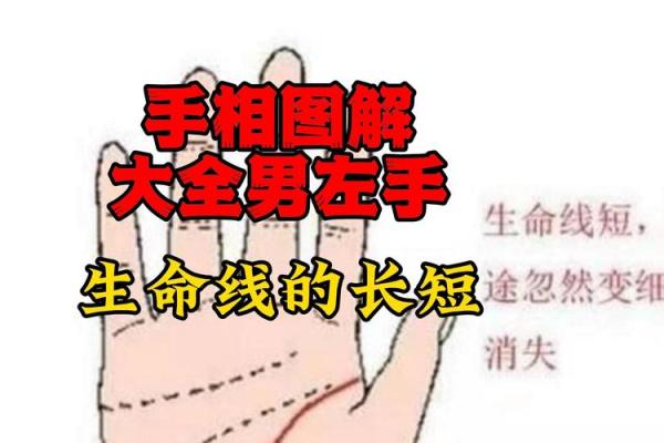 男人手相解析:掌纹烦乱的命运影响与解读 男人手相解析:掌纹烦乱的命运影响与解读