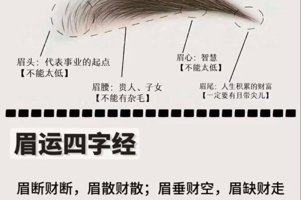 眉毛决定命运：揭秘富贵男人的眉型特征