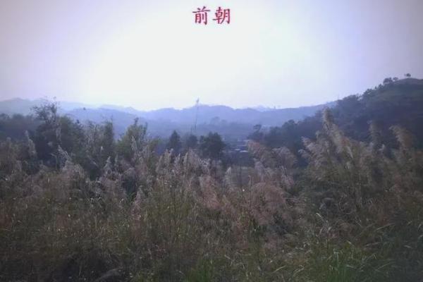 女坎宫东四命解析：揭秘命理与运势的奥秘