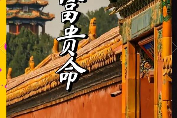 揭秘聚财命格:哪些女生注定富贵与财富相随? 揭秘聚财命格:哪些女生注定富贵与财富相随?