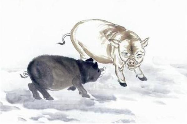 属猪人51岁后的命运解析：人生的转折与成功之道