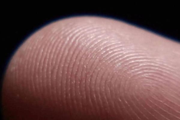 手指的秘密：十个斗代表的命运之道揭示生活智慧