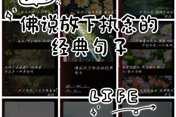 人生如梦，何必执念于得失之间？