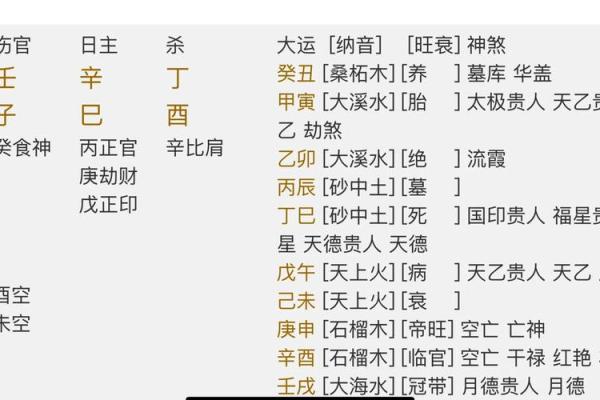 什么八字的男人有养子命:解析命运与家庭的深层联系 什么八字的男人有养子命:解析命运与家庭的深层联系