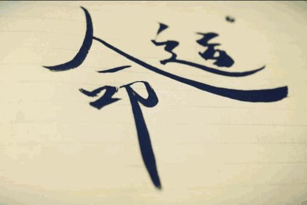 人要信命认命:寻找生活中的真实与自由 人要信命认命:寻找生活中的真实与自由