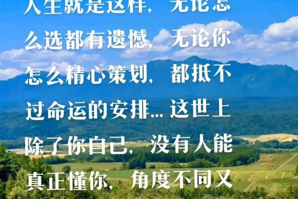 关于“命”和“途”的成语与人生启示分享
