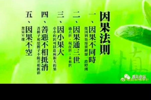 命运的轮回：从“对症下药”谈人生智慧