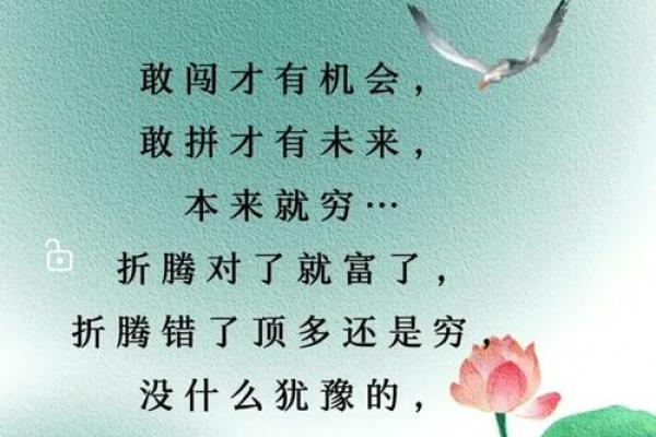 拼了命要了命：人生的无奈与奋斗之路