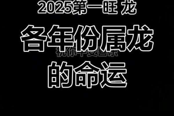属龙的运势与命运解析：揭开龙年人的神秘面纱