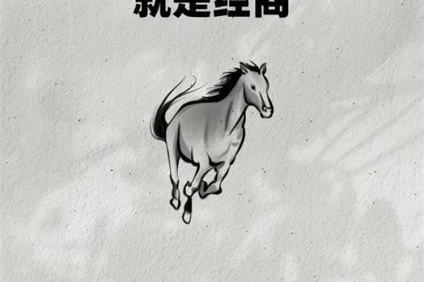 那些让人心惊胆跳的高风险赚钱项目，值得你尝试吗？