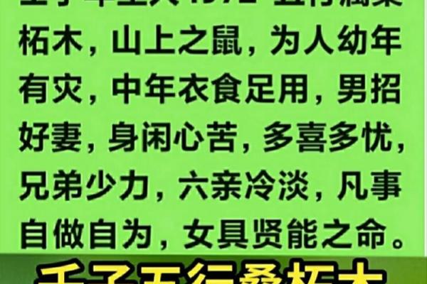 桑拓木命与最佳五行搭配的完美解析