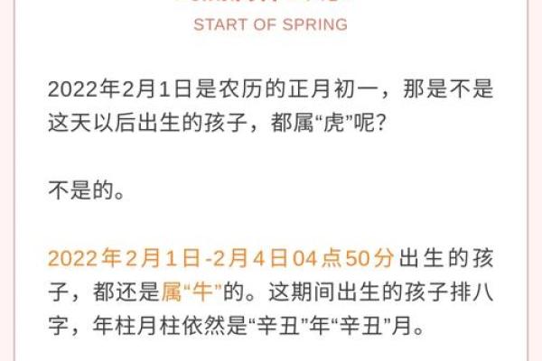 揭开壬寅年2022的命理面纱：解析属虎人的命运与特质