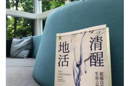 清奇巧妙之命：探寻生活中的智慧与灵感