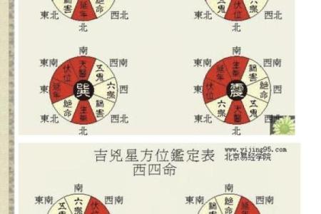 揭开离命与东四命的神秘面纱：命理学中的深意