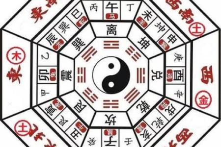 壬水女与生肖配对：找到最合适的命理伴侣之路