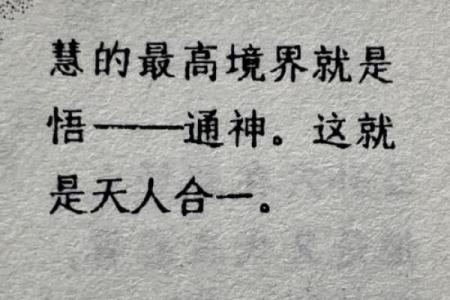 身宫沙中土命的深刻解读与人生智慧