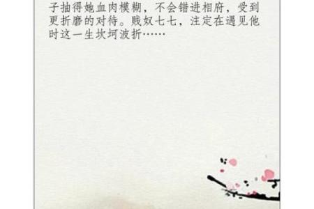 嗜之若命：生活中的热爱与执着追求之美