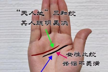男人手相解析：掌纹烦乱的命运影响与解读