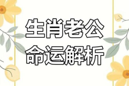 生肖鼠：命格解析与运势解读，了解你的命运之旅！