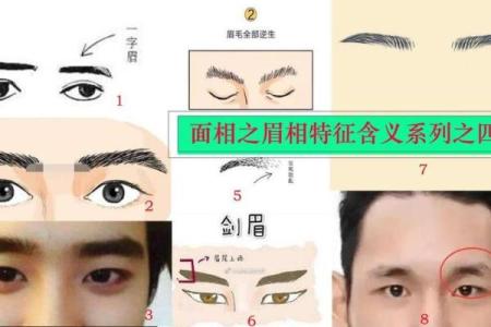 眉毛决定命运：揭秘富贵男人的眉型特征