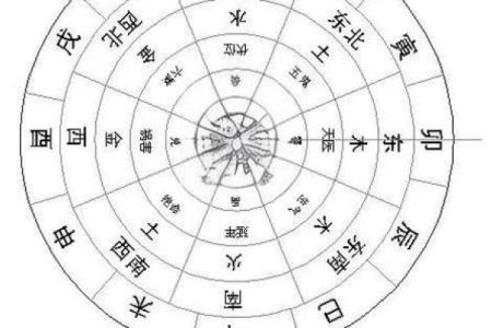 属牛木命人士适合居住的楼层解析：助运方位与风水搭配