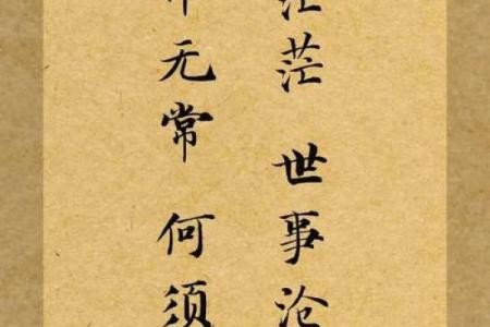 绳命关天：生命的意义与价值探讨