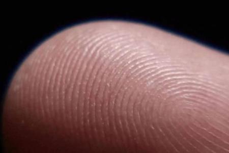 手指的秘密：十个斗代表的命运之道揭示生活智慧